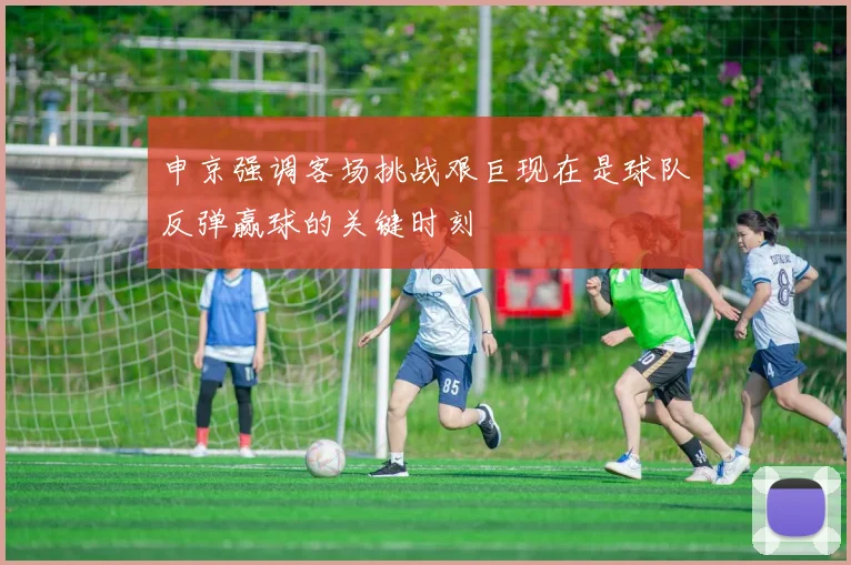 申京强调客场挑战艰巨现在是球队反弹赢球的关键时刻