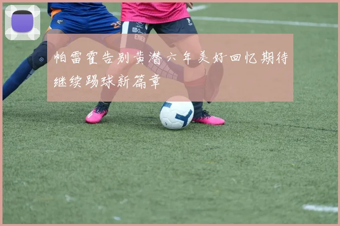 帕雷霍告别黄潜六年美好回忆期待继续踢球新篇章