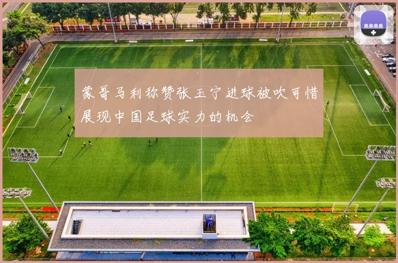 蒙哥马利称赞张玉宁进球被吹可惜展现中国足球实力的机会